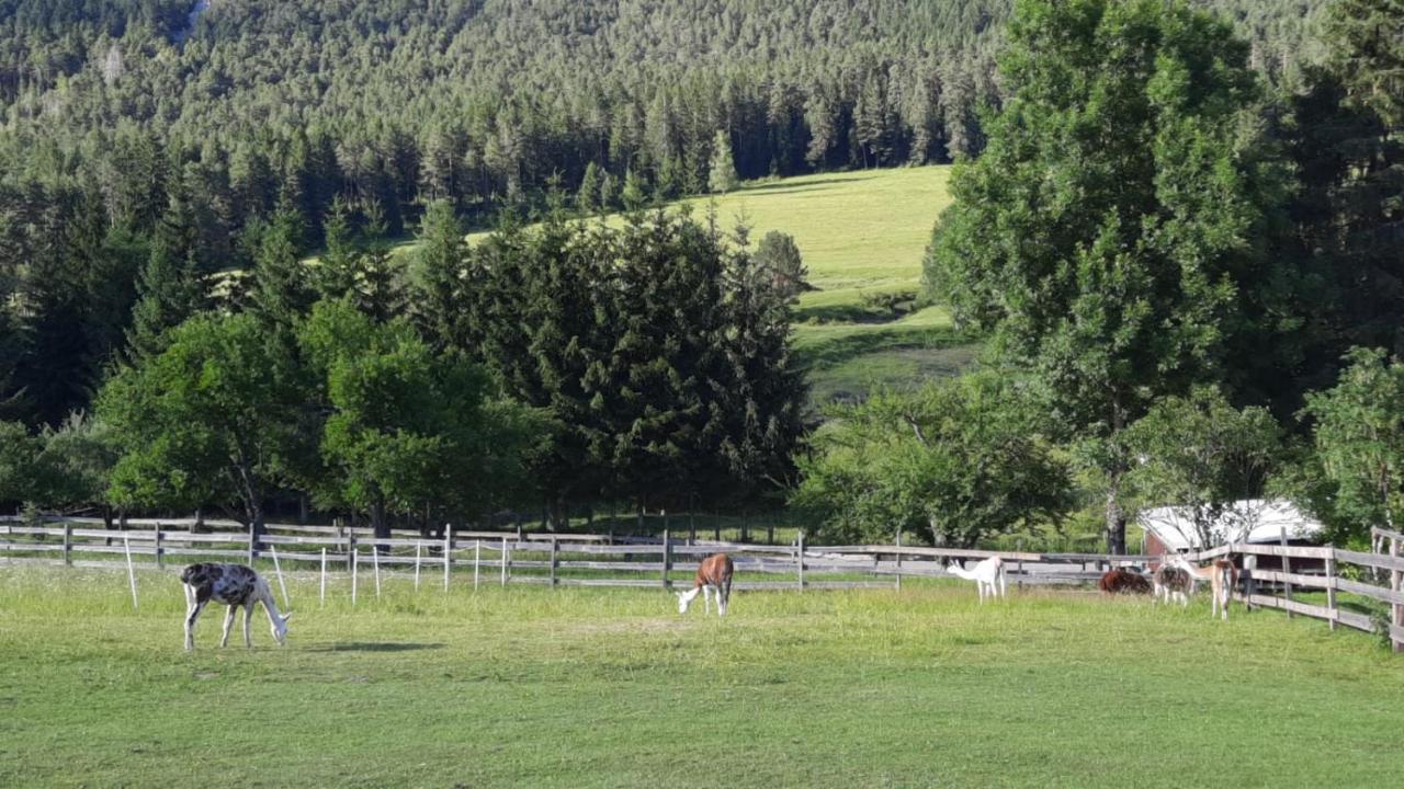 Naturidyll Brunner Appartement *