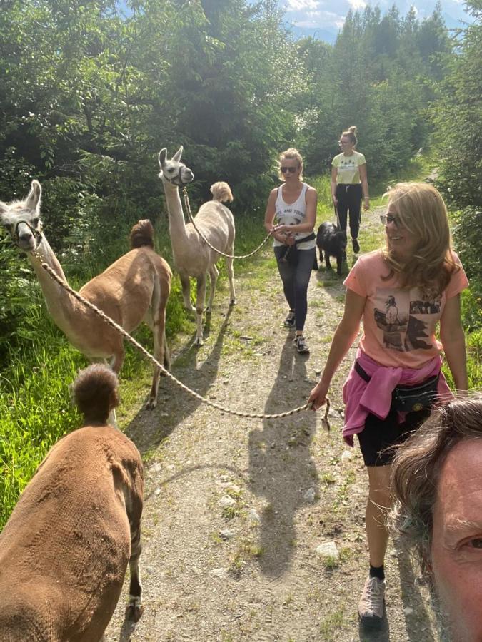 Naturidyll Brunner * Kostendorf